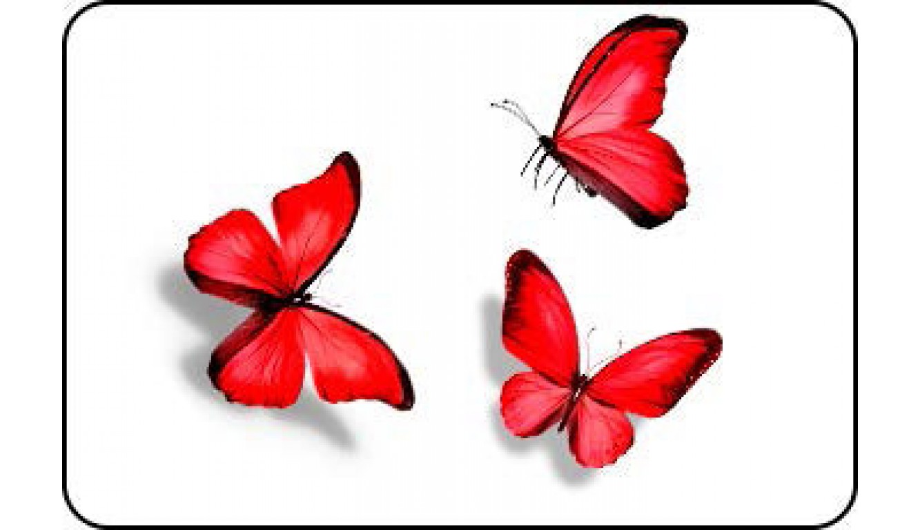 Стол кухонный Бабочки красные 015